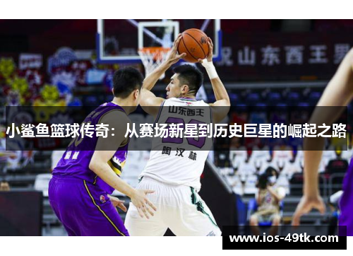小鲨鱼篮球传奇：从赛场新星到历史巨星的崛起之路